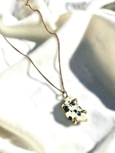 Load image into Gallery viewer, Dalmatian Jasper necklace