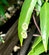 Load image into Gallery viewer, Peridot cluster stud earrings: August birthstone Jewelry